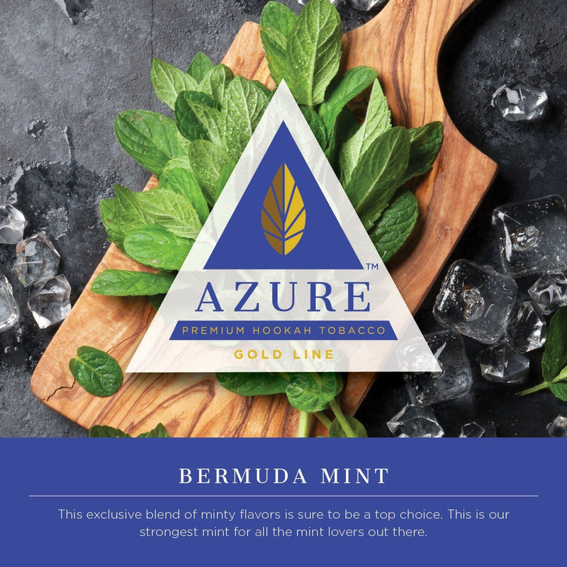 Azure Gold Line Bermuda Mint - 